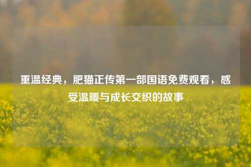 重温经典，肥猫正传第一部国语免费观看，感受温暖与成长交织的故事