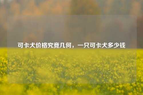 可卡犬价格究竟几何，一只可卡犬多少钱
