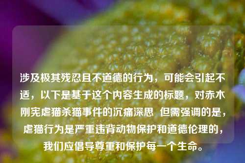 涉及极其残忍且不道德的行为，可能会引起不适，以下是基于这个内容生成的标题，对赤木刚宪虐猫杀猫事件的沉痛深思  但需强调的是，虐猫行为是严重违背动物保护和道德伦理的，我们应倡导尊重和保护每一个生命。