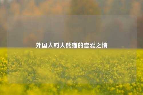 外国人对大熊猫的喜爱之情
