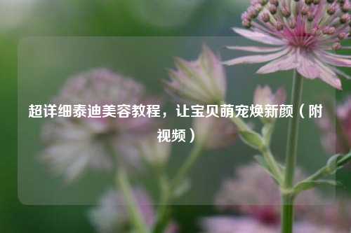 超详细泰迪美容教程，让宝贝萌宠焕新颜（附视频）