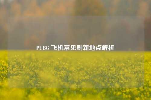 PUBG 飞机常见刷新地点解析