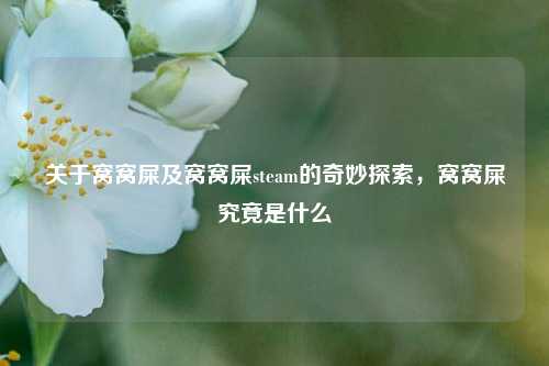 关于窝窝屎及窝窝屎steam的奇妙探索，窝窝屎究竟是什么