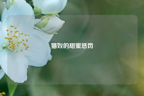猫奴的甜蜜惩罚