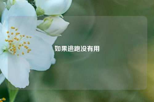 如果逃跑没有用
