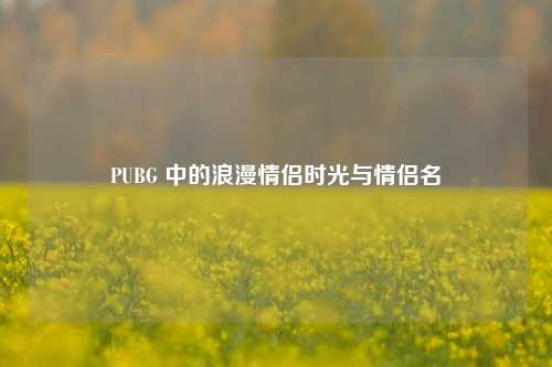 PUBG 中的浪漫情侣时光与情侣名