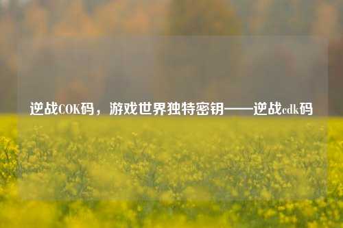 逆战COK码，游戏世界独特密钥——逆战cdk码