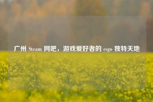 广州 Steam 网吧，游戏爱好者的 csgo 独特天地