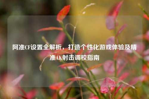 阿准CF设置全解析，打造个性化游戏体验及精准AK射击调校指南