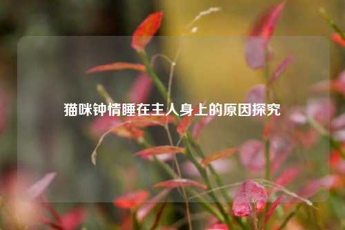 猫咪钟情睡在主人身上的原因探究