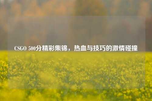 CSGO 500分精彩集锦，热血与技巧的激情碰撞
