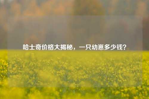 哈士奇价格大揭秘，一只幼崽多少钱？