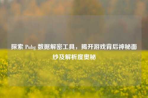 探索 Pubg 数据解密工具，揭开游戏背后神秘面纱及解析度奥秘