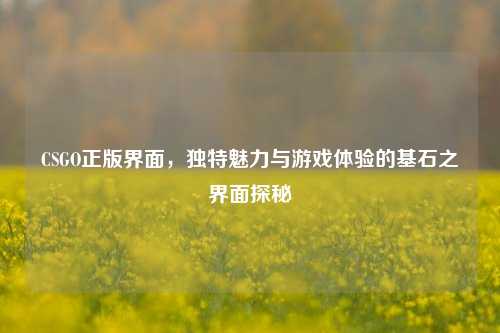 CSGO正版界面，独特魅力与游戏体验的基石之界面探秘