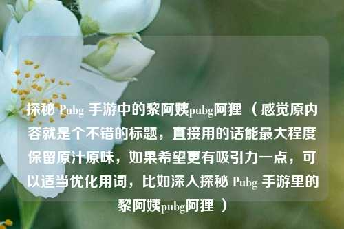 探秘 Pubg 手游中的黎阿姨pubg阿狸 （感觉原内容就是个不错的标题，直接用的话能最大程度保留原汁原味，如果希望更有吸引力一点，可以适当优化用词，比如深入探秘 Pubg 手游里的黎阿姨pubg阿狸 ）