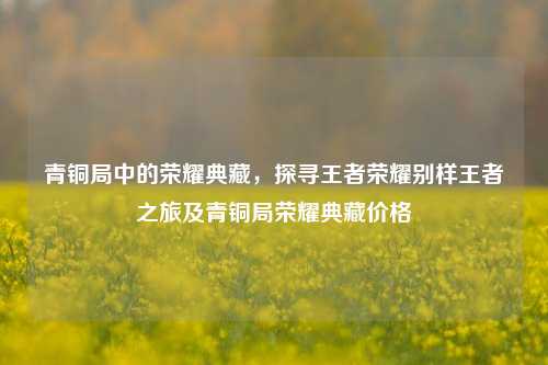 青铜局中的荣耀典藏，探寻王者荣耀别样王者之旅及青铜局荣耀典藏价格