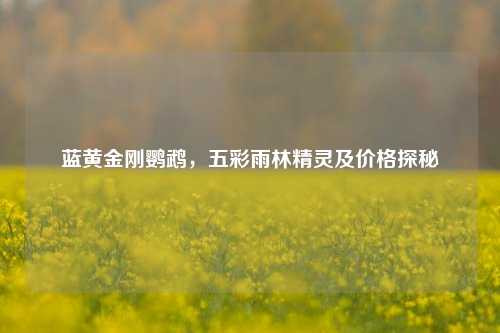 蓝黄金刚鹦鹉，五彩雨林精灵及价格探秘