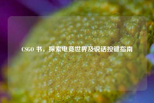 CSGO 书，探索电竞世界及说话按键指南