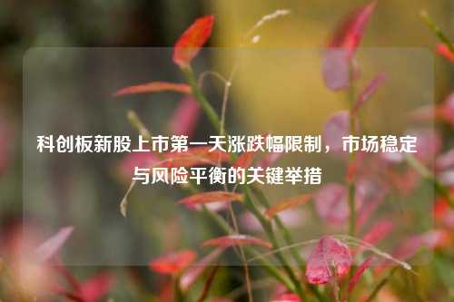 科创板新股上市第一天涨跌幅限制，市场稳定与风险平衡的关键举措