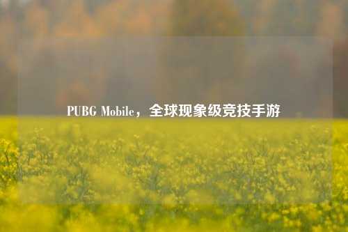 PUBG Mobile，全球现象级竞技手游