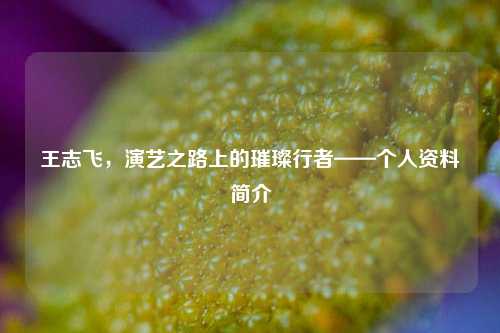 王志飞，演艺之路上的璀璨行者——个人资料简介