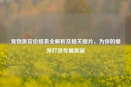 宠物美容价格表全解析及相关图片，为你的爱宠打造专属美丽