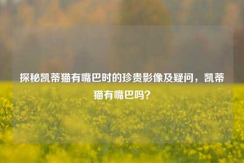 探秘凯蒂猫有嘴巴时的珍贵影像及疑问，凯蒂猫有嘴巴吗？