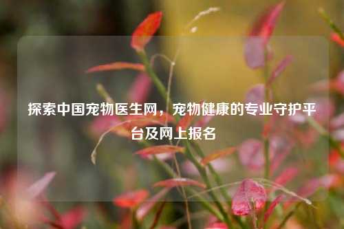 探索中国宠物医生网，宠物健康的专业守护平台及网上报名