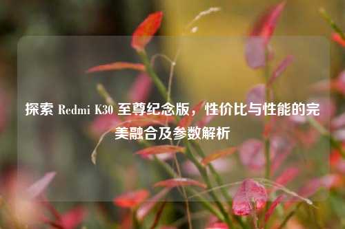 探索 Redmi K30 至尊纪念版，性价比与性能的完美融合及参数解析
