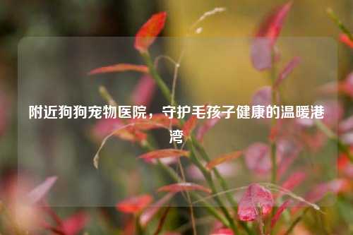 附近狗狗宠物医院，守护毛孩子健康的温暖港湾