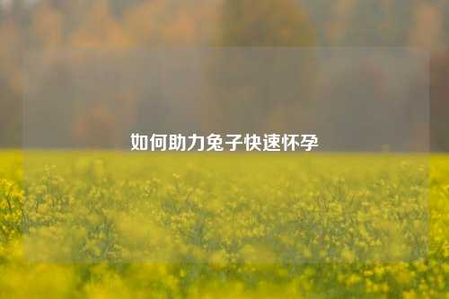如何助力兔子快速怀孕