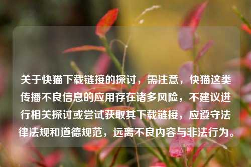 关于快猫下载链接的探讨，需注意，快猫这类传播不良信息的应用存在诸多风险，不建议进行相关探讨或尝试获取其下载链接，应遵守法律法规和道德规范，远离不良内容与非法行为。