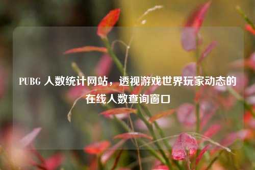PUBG 人数统计网站，透视游戏世界玩家动态的在线人数查询窗口