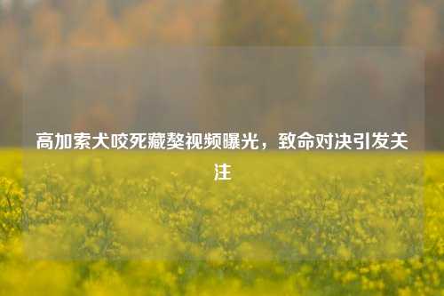 高加索犬咬死藏獒视频曝光，致命对决引发关注