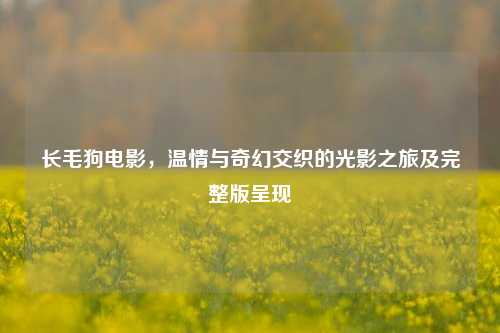 长毛狗电影，温情与奇幻交织的光影之旅及完整版呈现