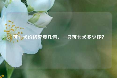 可卡犬价格究竟几何，一只可卡犬多少钱？
