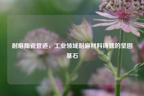 耐磨陶瓷管道，工业领域耐磨材料铸就的坚固基石