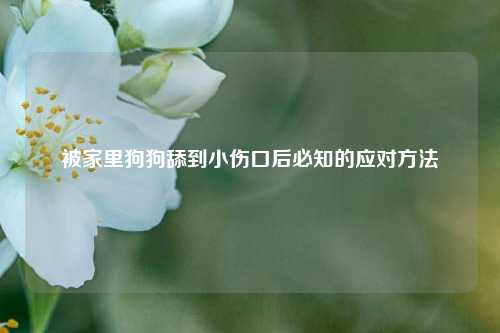 被家里狗狗舔到小伤口后必知的应对方法