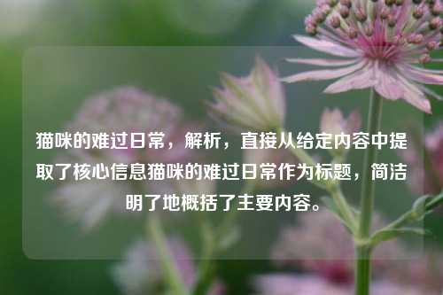 猫咪的难过日常，解析，直接从给定内容中提取了核心信息猫咪的难过日常作为标题，简洁明了地概括了主要内容。