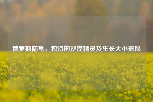 俄罗斯陆龟，独特的沙漠精灵及生长大小探秘