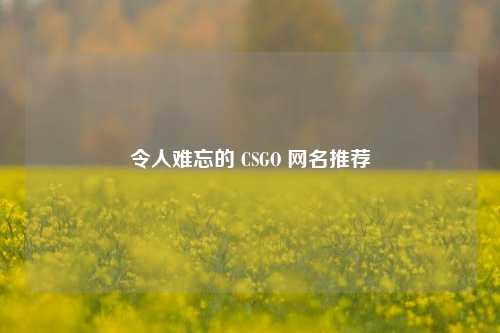 令人难忘的 CSGO 网名推荐