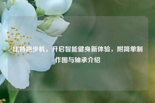 比特跑步机，开启智能健身新体验，附简单制作图与轴承介绍