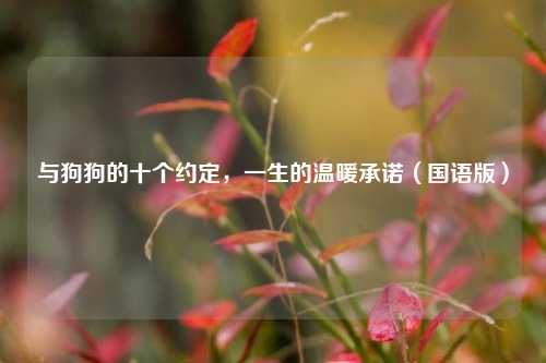 与狗狗的十个约定，一生的温暖承诺（国语版）