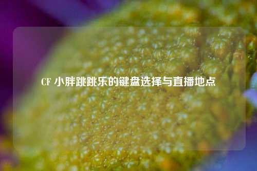 CF 小胖跳跳乐的键盘选择与直播地点
