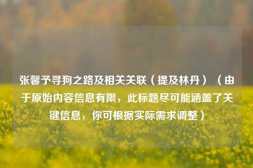 张馨予寻狗之路及相关关联（提及林丹） （由于原始内容信息有限，此标题尽可能涵盖了关键信息，你可根据实际需求调整）