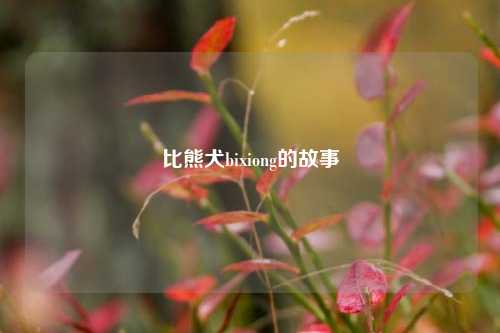 比熊犬bixiong的故事