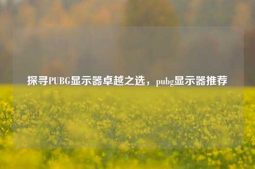 探寻PUBG显示器卓越之选，pubg显示器推荐