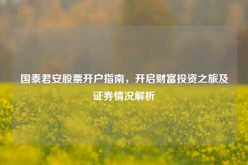 国泰君安股票开户指南，开启财富投资之旅及证券情况解析