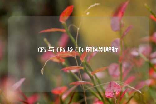 CF5 与 CF6 及 CF4 的区别解析