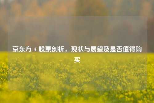 京东方 A 股票剖析，现状与展望及是否值得购买
